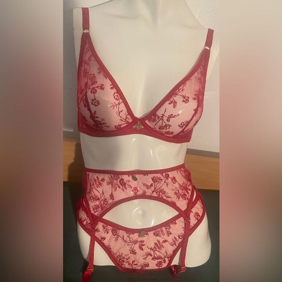 NWT Agent Provocateur Zadi Red 3 Piece Set Bra 32DD, Thong AP4, Suspenders AP4 - Picture 4 of 11